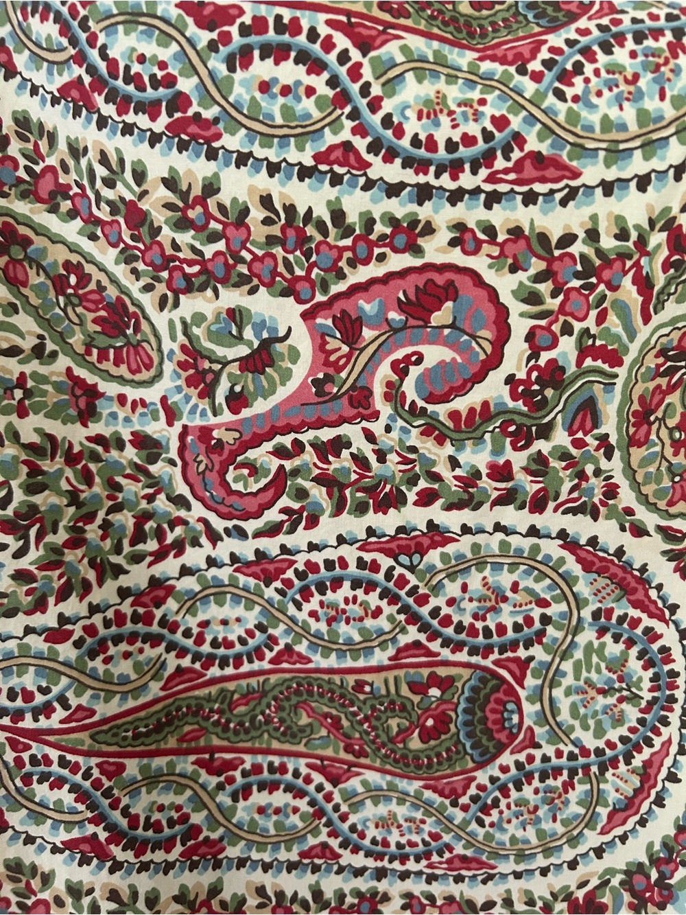 Pottery Barn Cotton Paisley Standard Pillow Shams PAIR